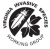 Virginia Invasive Species